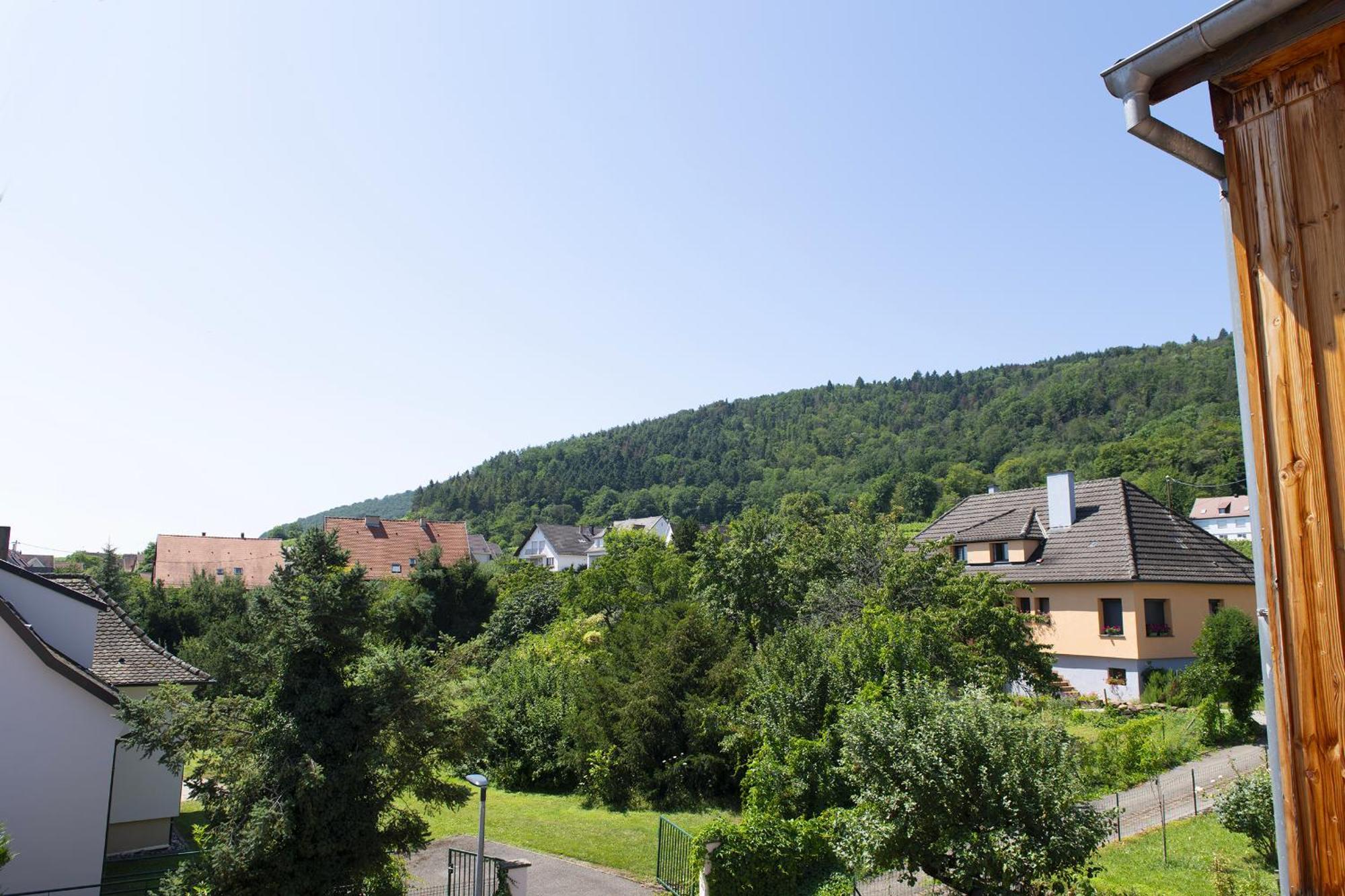 Pinot Gris - Charmant Studio Au Coeur Du Vignoble - Parking Gratuit Riquewihr Exterior foto